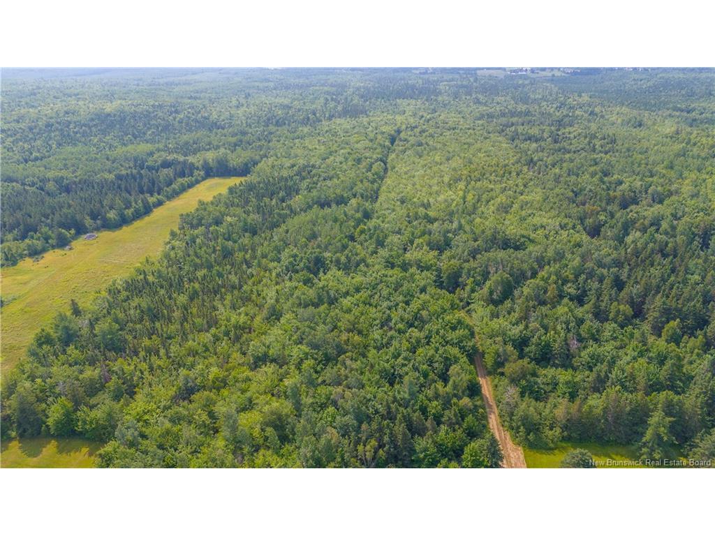 









Lot


Paquetville

RD,
Paquetville,







NB
E8R 1E6

