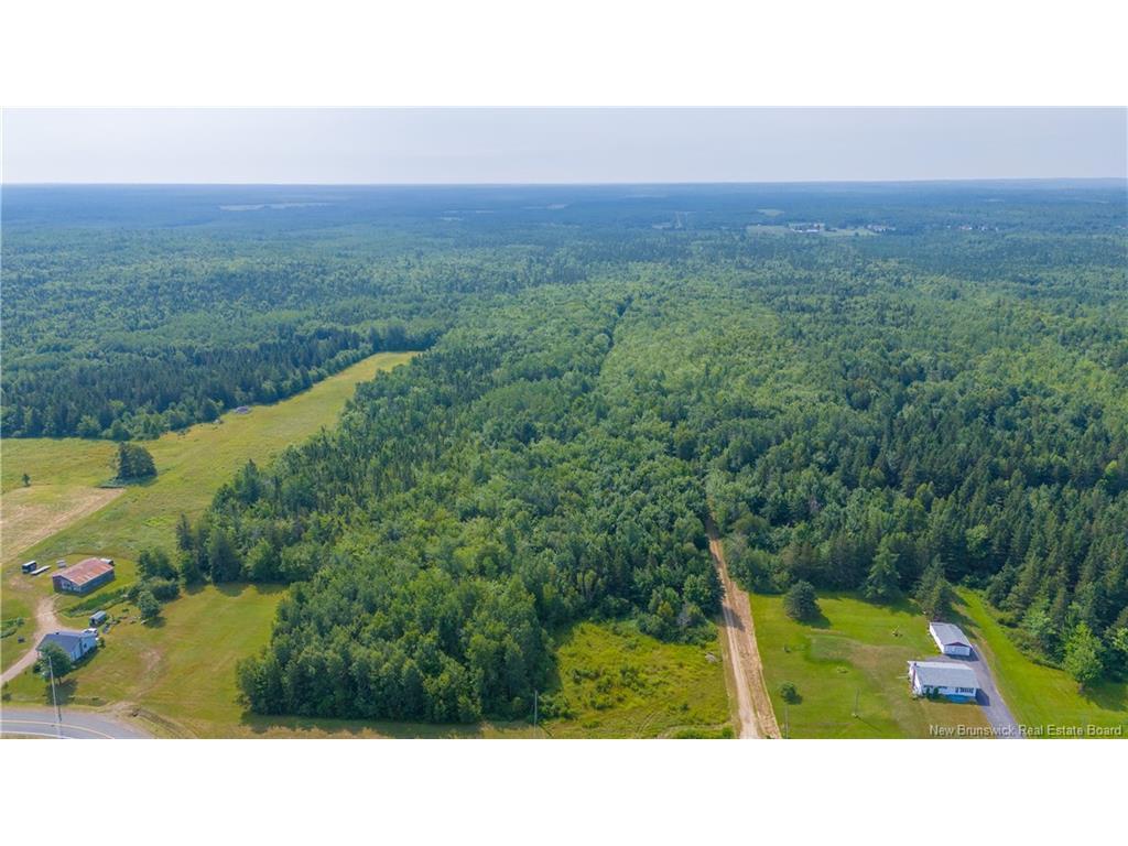 









Lot


Paquetville

RD,
Paquetville,







NB
E8R 1E6

