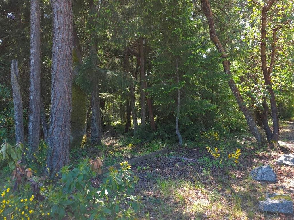 









1154


Industrial

Way,
Parksville,




BC
V9P 2W8

