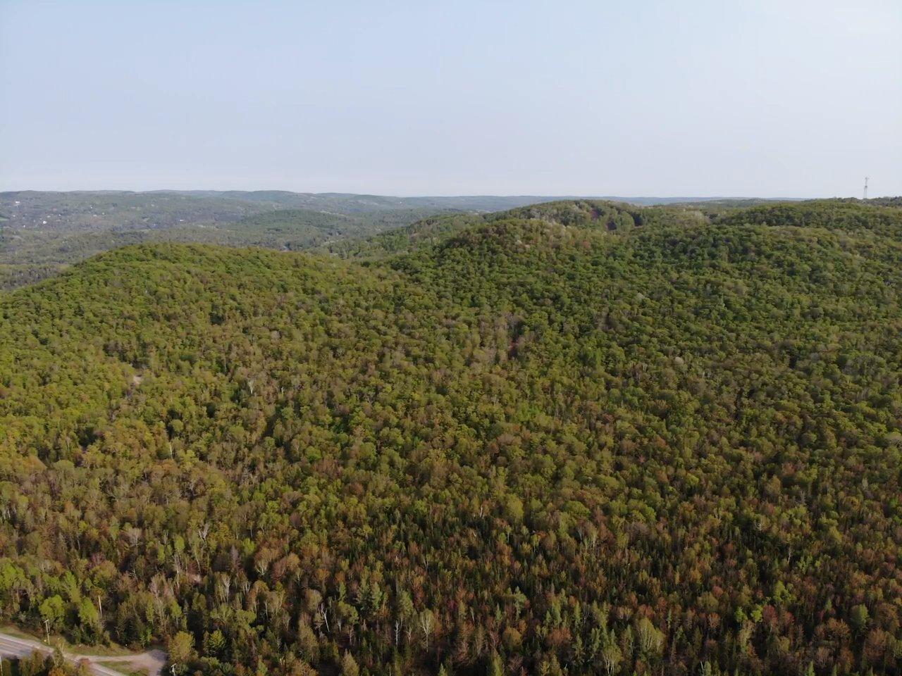 












Prom. des Cervidés

,
Morin-Heights,







QC
J0R1H0

