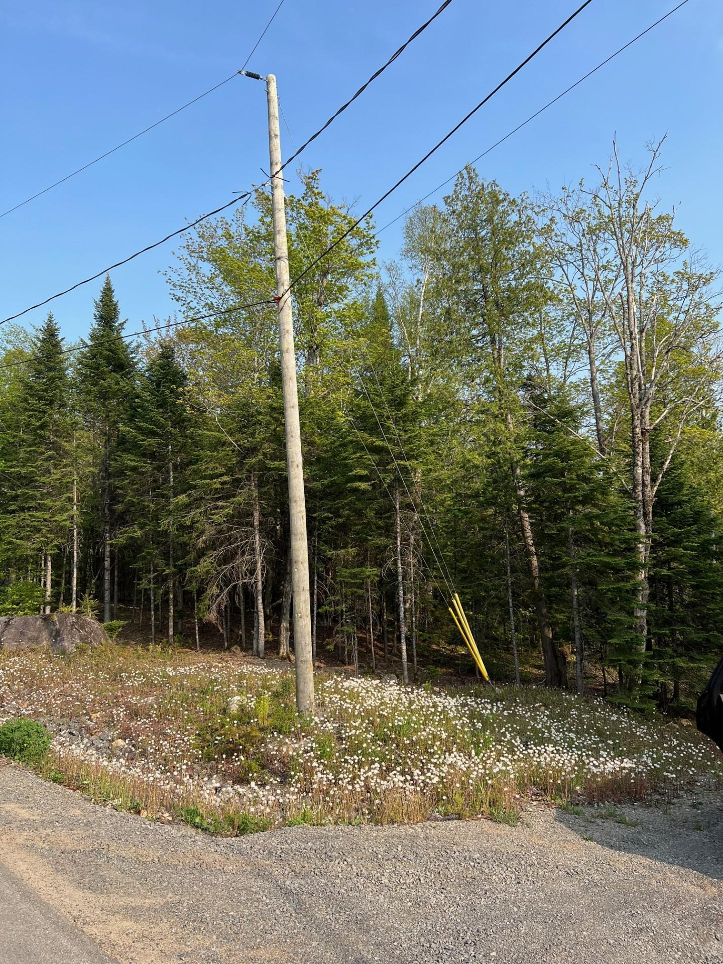 












Prom. des Cervidés

,
Morin-Heights,







QC
J0R1H0

