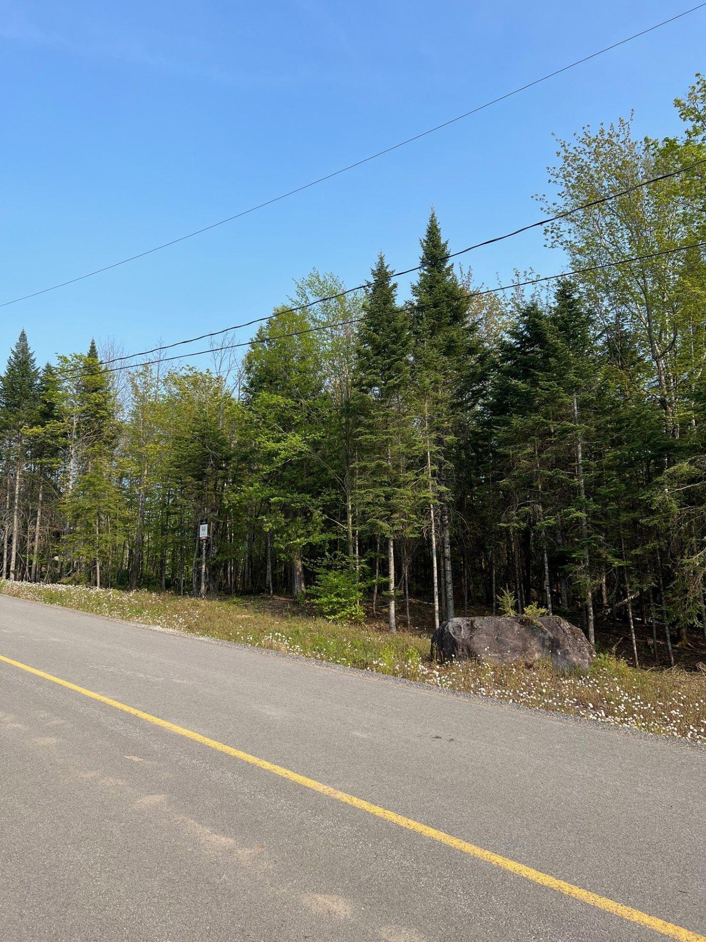 












Prom. des Cervidés

,
Morin-Heights,







QC
J0R1H0

