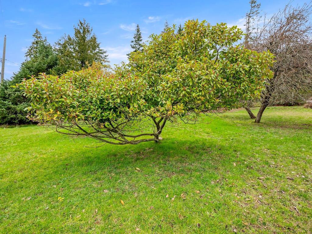 









915


Mount

Rd,
Hornby Island,




BC
V0R 1Z0

