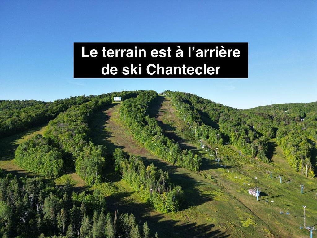 









3205


Rue du Chinook

,
Sainte-Adèle,




QC
J8B0L3

