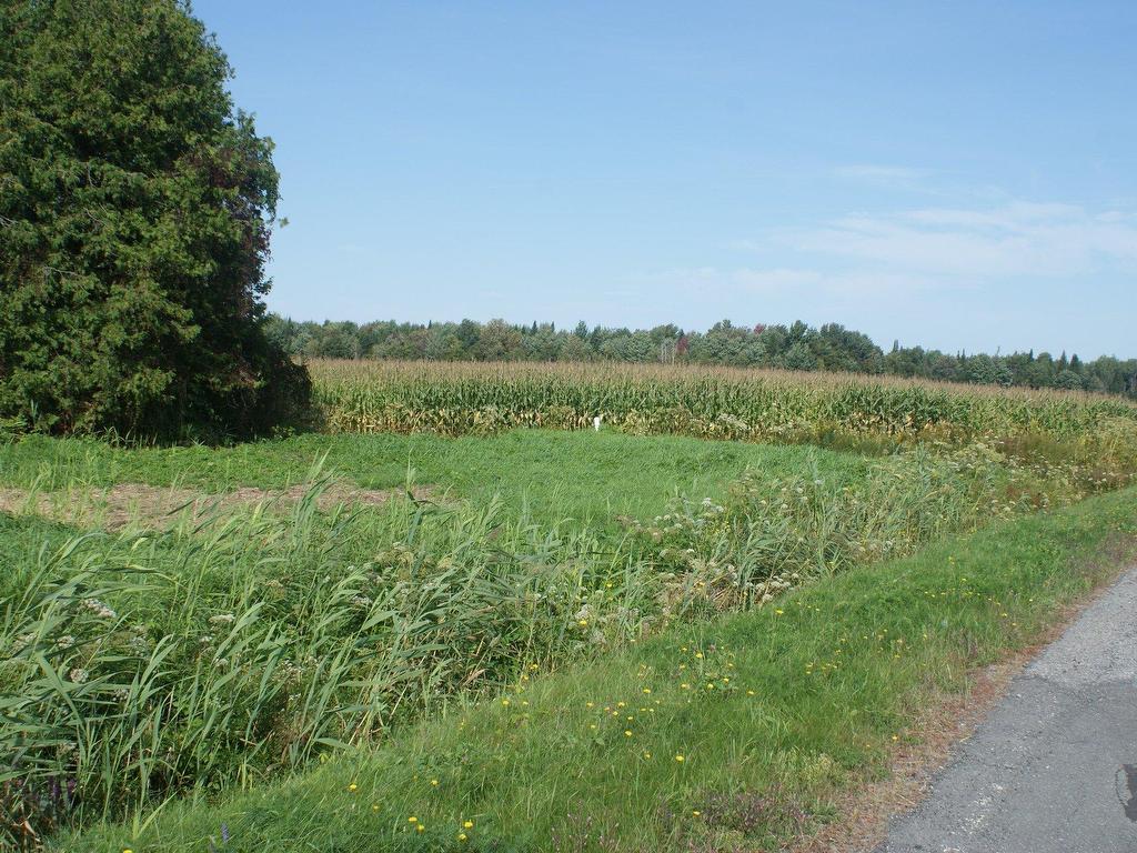 









1990


Route des Rivières

,
Saint-Lucien,




QC
J0C1N0

