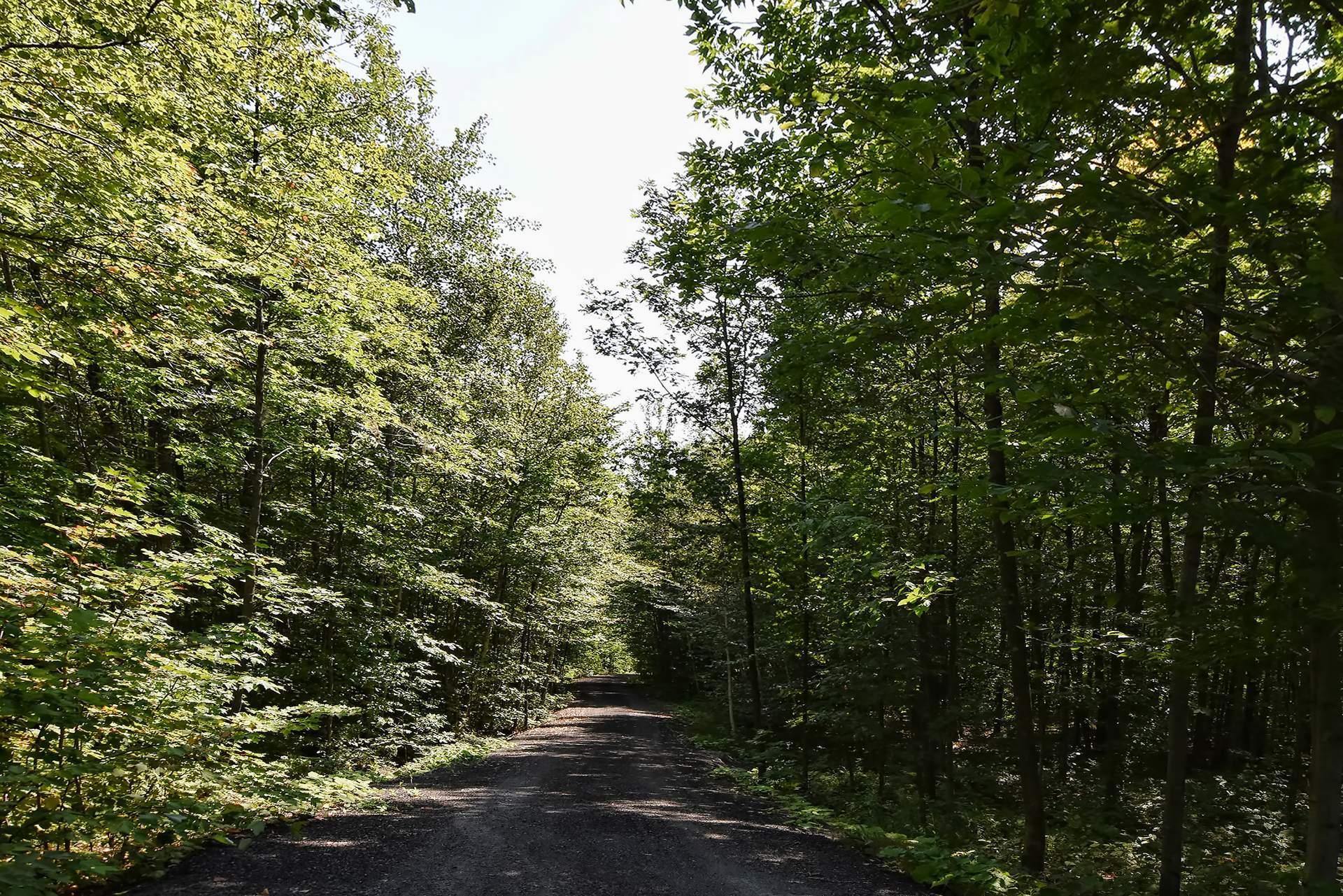 









2647


Ch. McGill

,
Sainte-Julienne,




QC
J0K2T0

