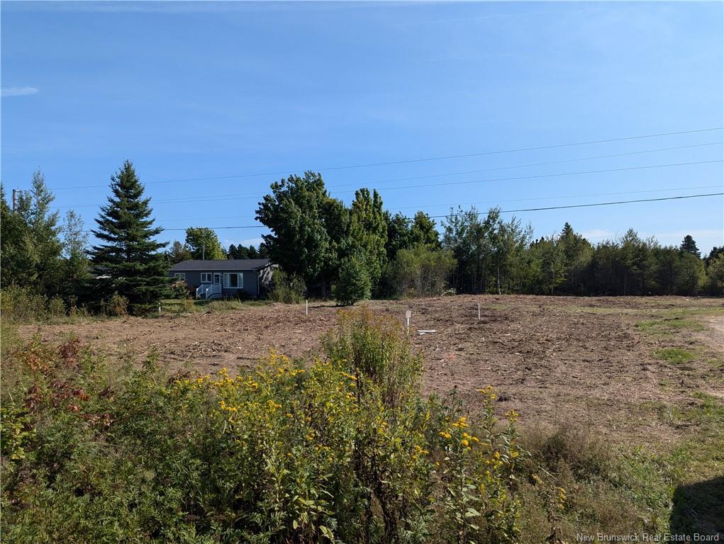 









Lot


de l'Eglise

ST,
Tracadie,







NB
E1X 1B1

