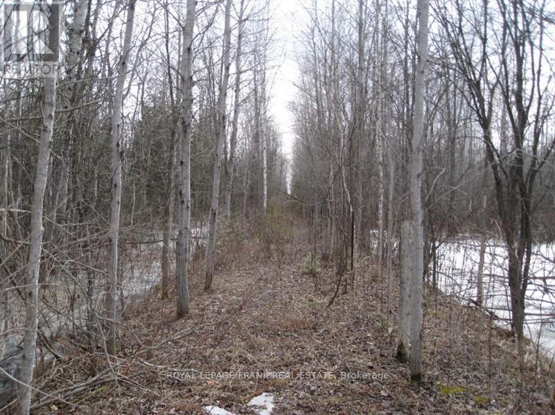 












0 MERVIN LINE

,
Cavan Monaghan (Cavan-Monaghan),







Ontario
K9J6Z9

