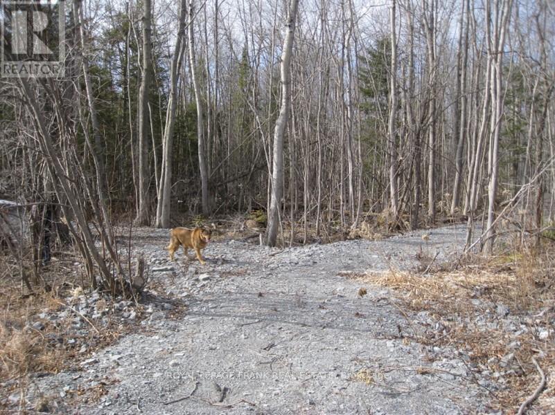 












0 MERVIN LINE

,
Cavan Monaghan (Cavan-Monaghan),







Ontario
K9J6Z9

