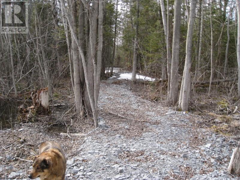 












0 MERVIN LINE

,
Cavan Monaghan (Cavan-Monaghan),







Ontario
K9J6Z9

