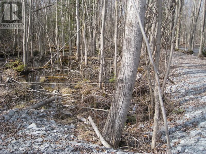 












0 MERVIN LINE

,
Cavan Monaghan (Cavan-Monaghan),







Ontario
K9J6Z9

