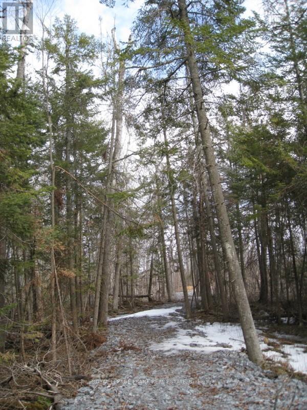 












0 MERVIN LINE

,
Cavan Monaghan (Cavan-Monaghan),







Ontario
K9J6Z9

