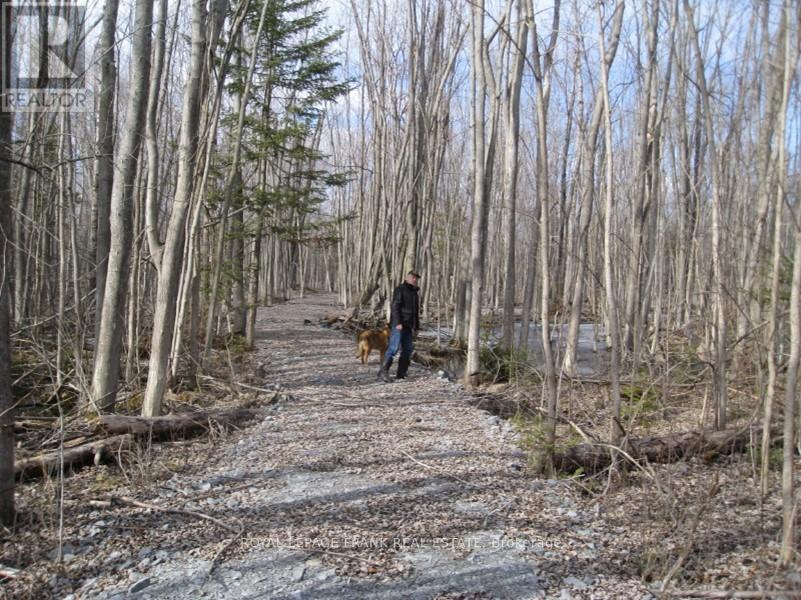 












0 MERVIN LINE

,
Cavan Monaghan (Cavan-Monaghan),







Ontario
K9J6Z9

