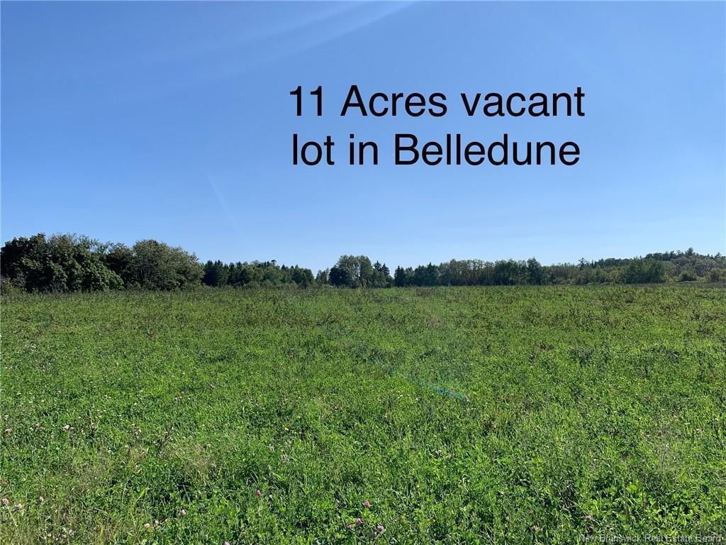 









Vacant Lot


Route 134 (Main St)

,
Belledune,







NB
E8G 2J7

