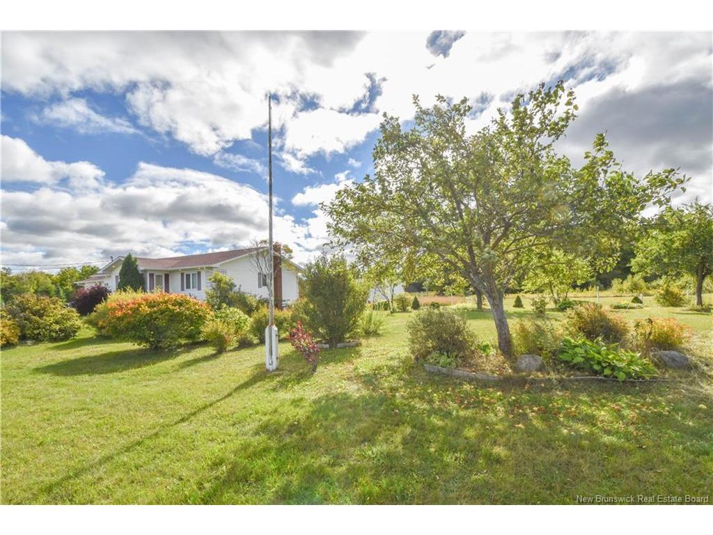 









852


Principal

RD,
Petit-Paquetville,




NB
E8R 1H1

