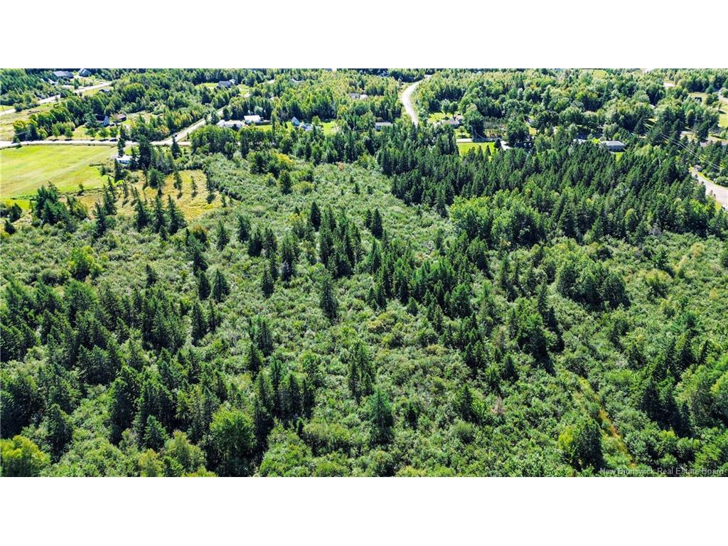 









Lot


Zack

RD,
Lutes Mountain,







NB
E1G 2T6

