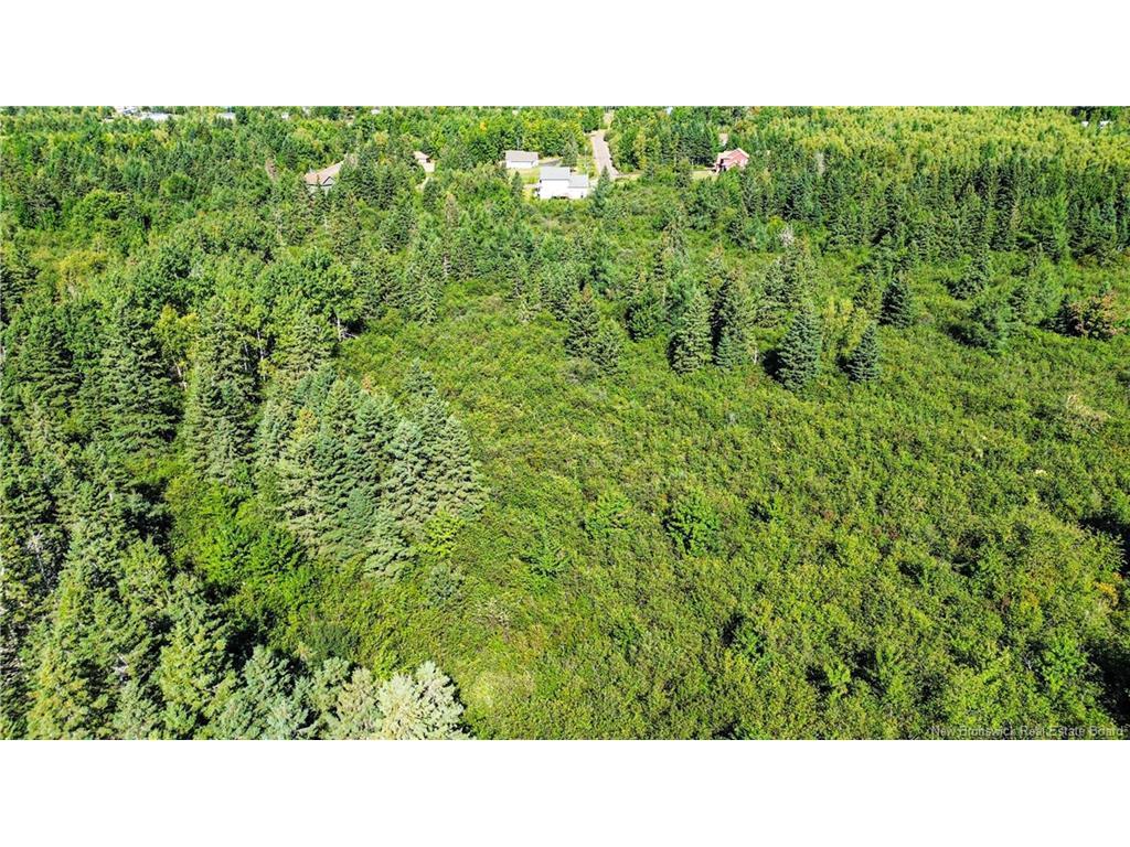 









Lot


Zack

RD,
Lutes Mountain,







NB
E1G 2T6

