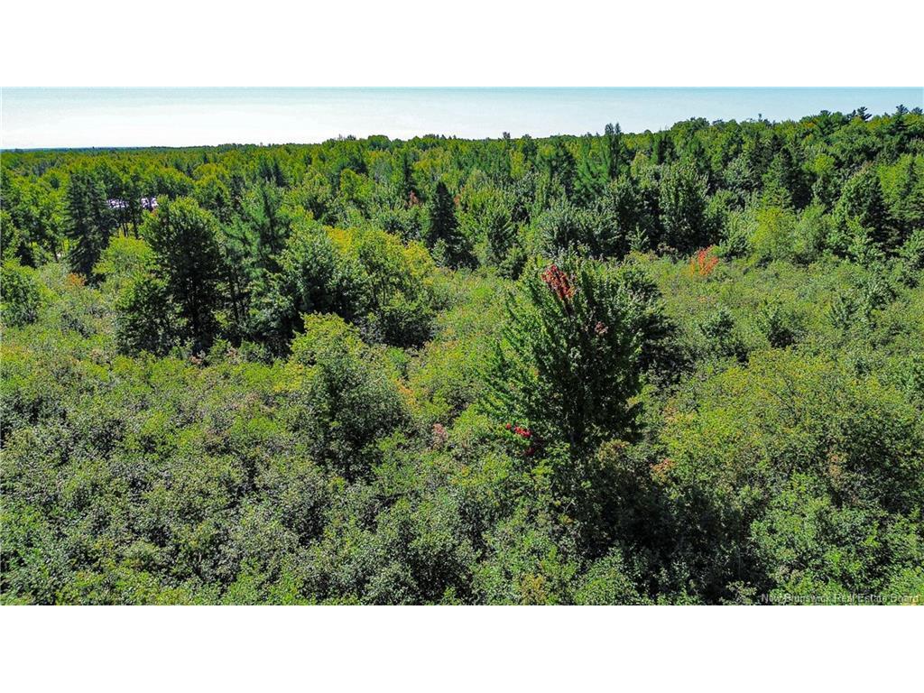 









Lot


Zack

RD,
Lutes Mountain,







NB
E1G 2T6

