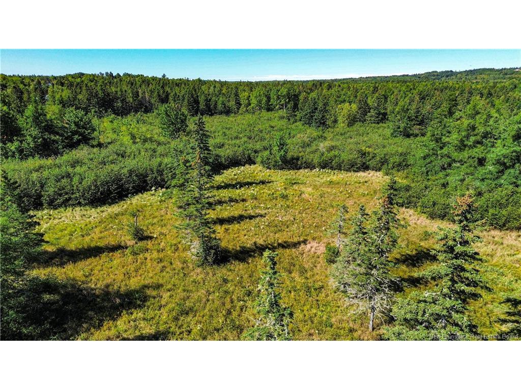 









Lot


Zack

RD,
Lutes Mountain,







NB
E1G 2T6

