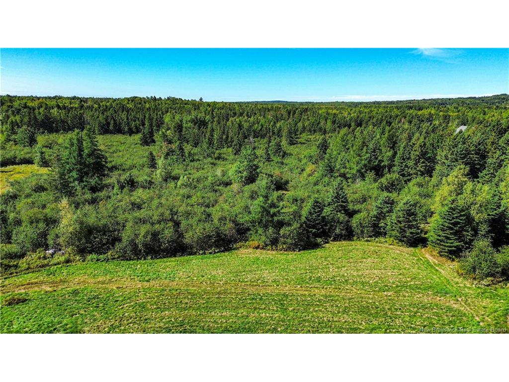 









Lot


Zack

RD,
Lutes Mountain,







NB
E1G 2T6

