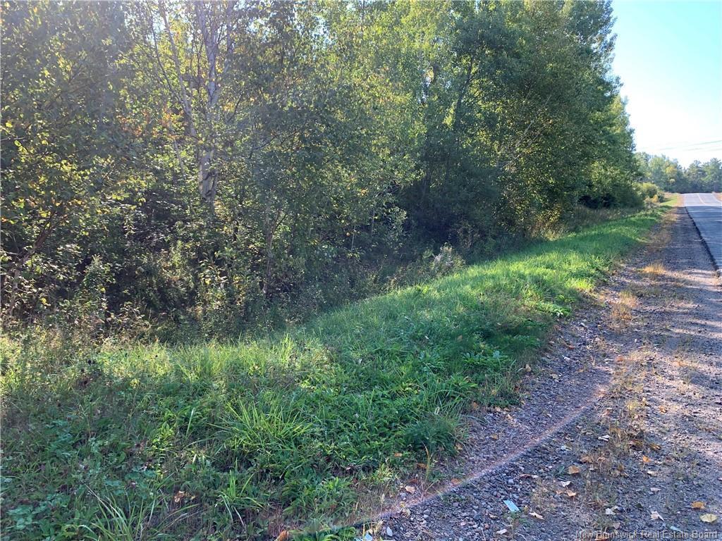 









Vacant Lot


Noel

RD,
Belledune,







NB
E8G 2T6

