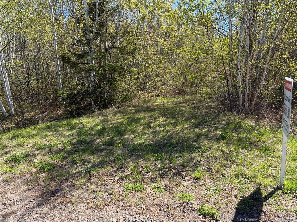 









Vacant Lot


Noel

RD,
Belledune,







NB
E8G 2T6

