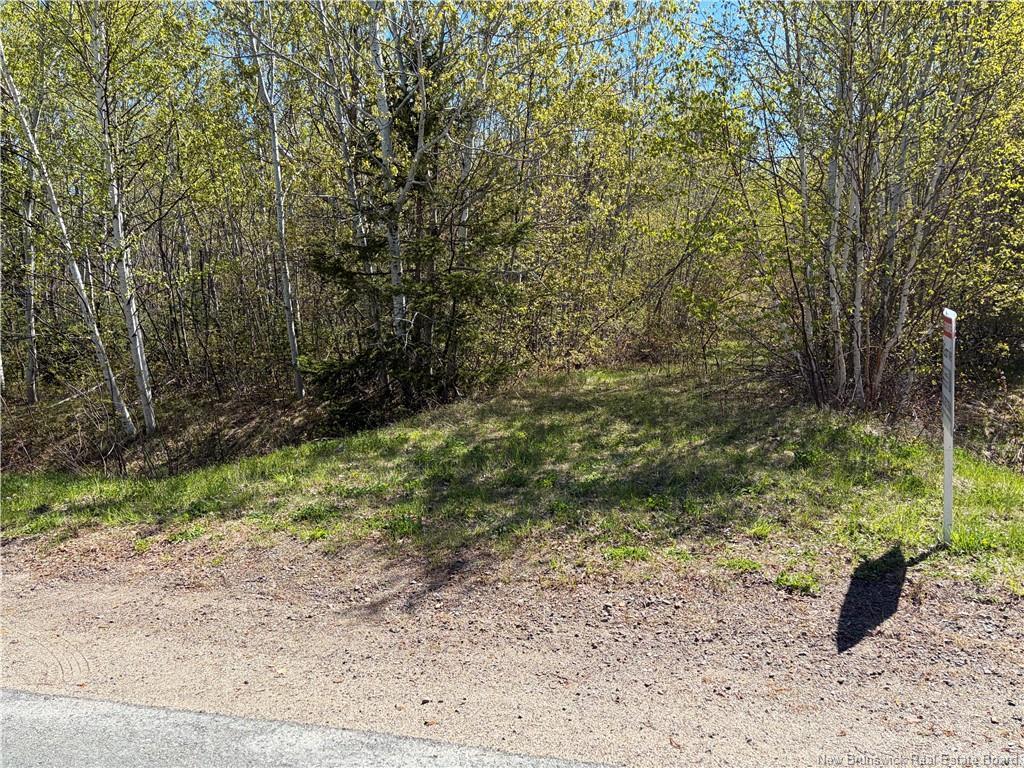 









Vacant Lot


Noel

RD,
Belledune,







NB
E8G 2T6

