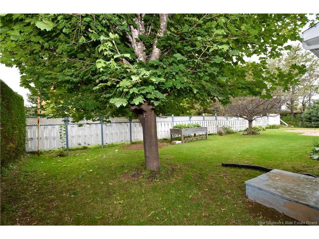 









3351


Centenaire

,
Tracadie,




NB
E1X 1A6

