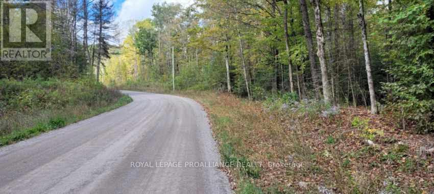 












0 SHANICK ROAD

,
Marmora and Lake (Marmora Ward),







Ontario
K0K2M0

