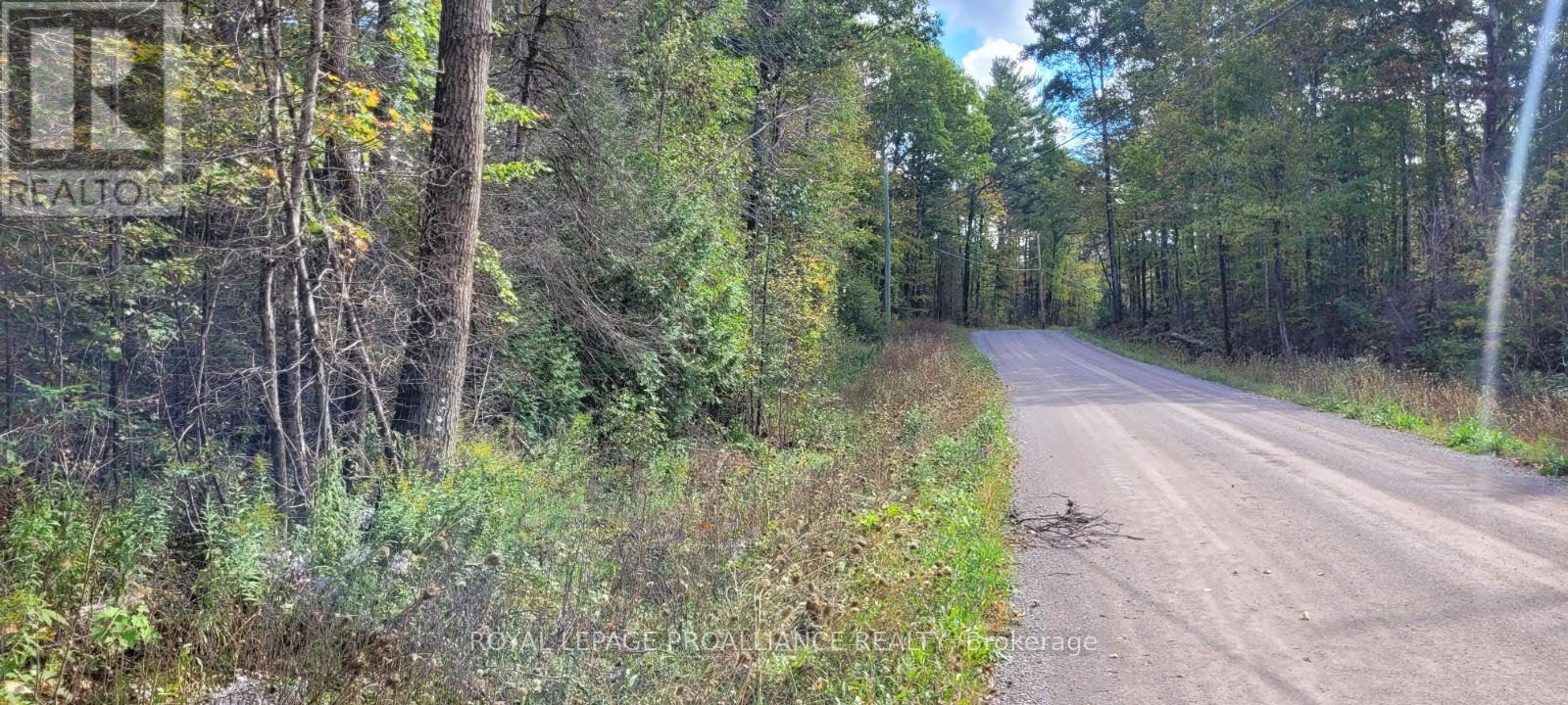 












0 SHANICK ROAD

,
Marmora and Lake (Marmora Ward),







Ontario
K0K2M0

