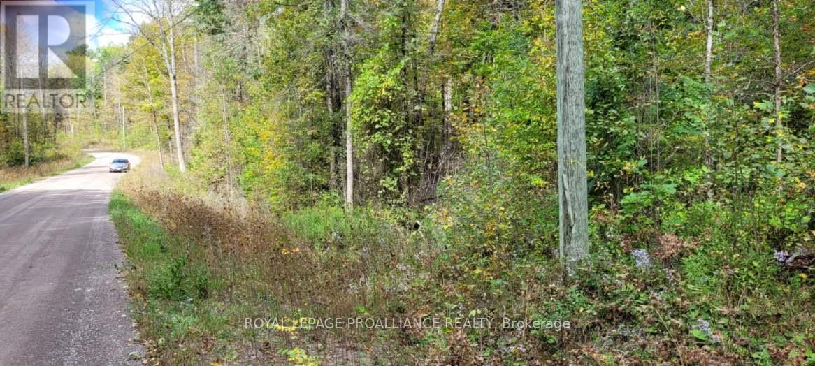 












0 SHANICK ROAD

,
Marmora and Lake (Marmora Ward),







Ontario
K0K2M0

