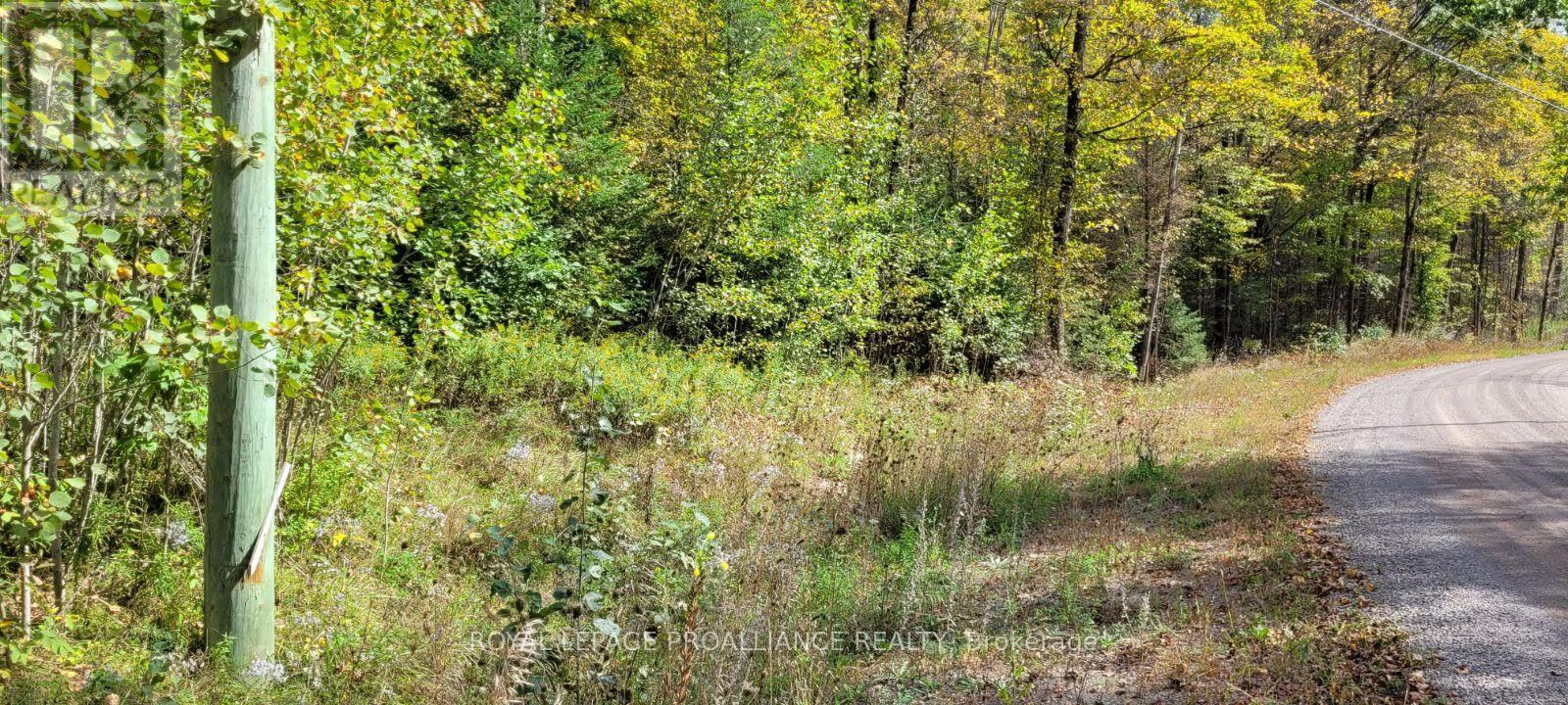 












0 SHANICK ROAD

,
Marmora and Lake (Marmora Ward),







Ontario
K0K2M0

