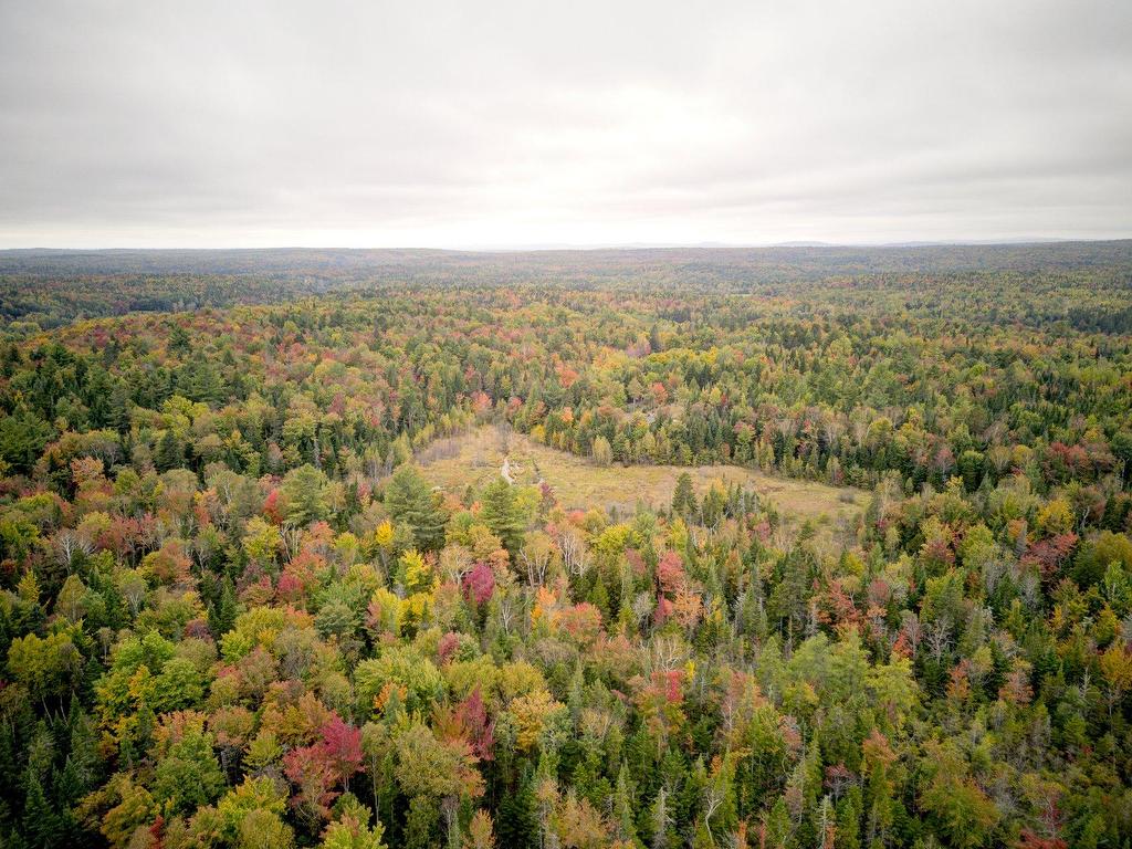









814


Ch. St-Edmond

,
Saint-Barthélemy,




QC
J0K1X0

