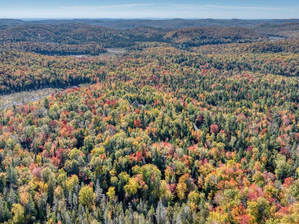 












Ch. du Lac-Pilon

,
Sainte-Adèle,







QC
J8B1N9

