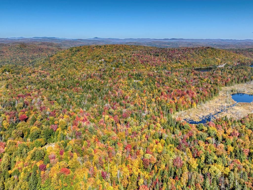 












Ch. du Lac-Pilon

,
Sainte-Adèle,







QC
J8B1N9

