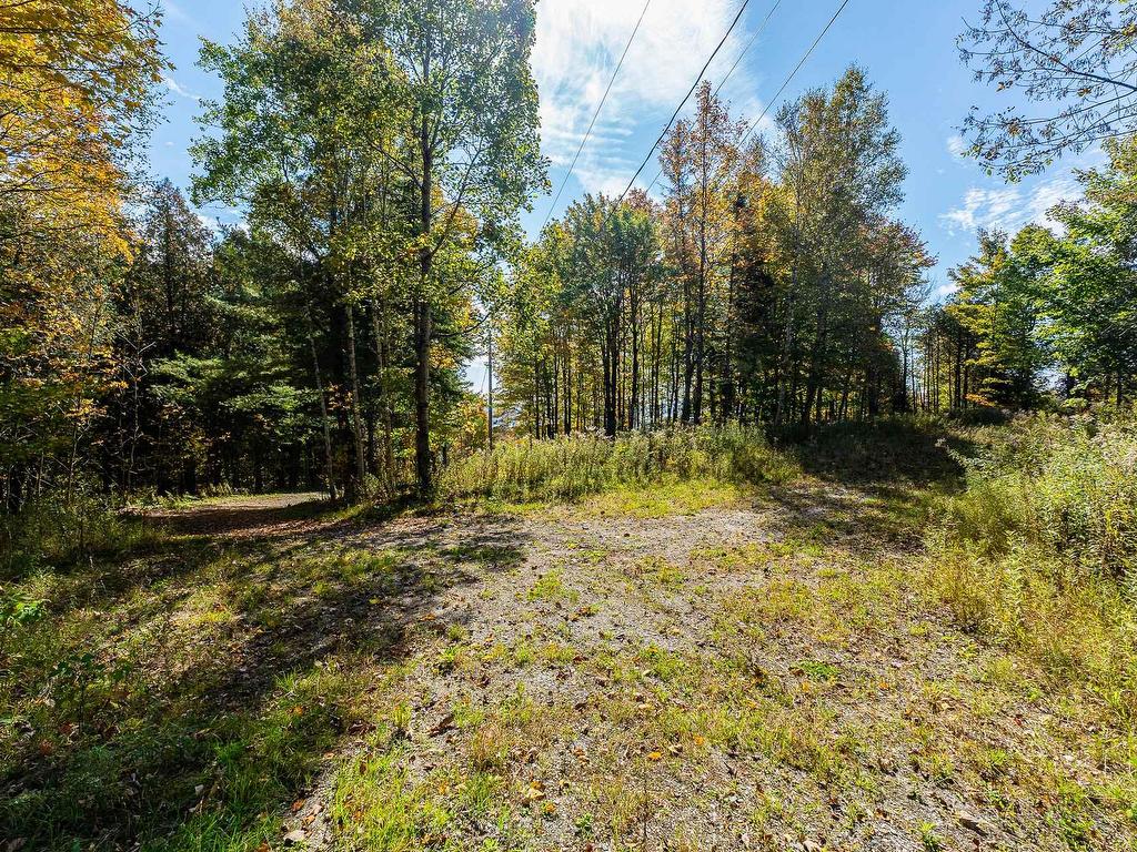 









2146


Ch. Nicholas-Austin

,
Austin,







QC
J0B1B0

