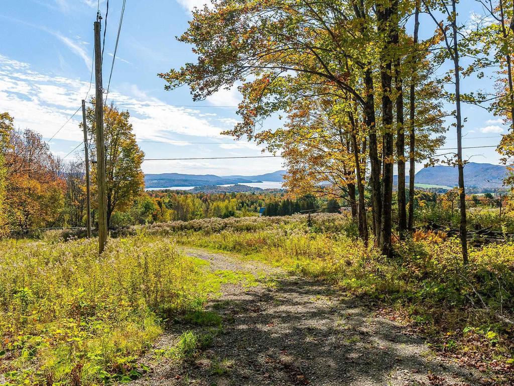 









2146


Ch. Nicholas-Austin

,
Austin,







QC
J0B1B0

