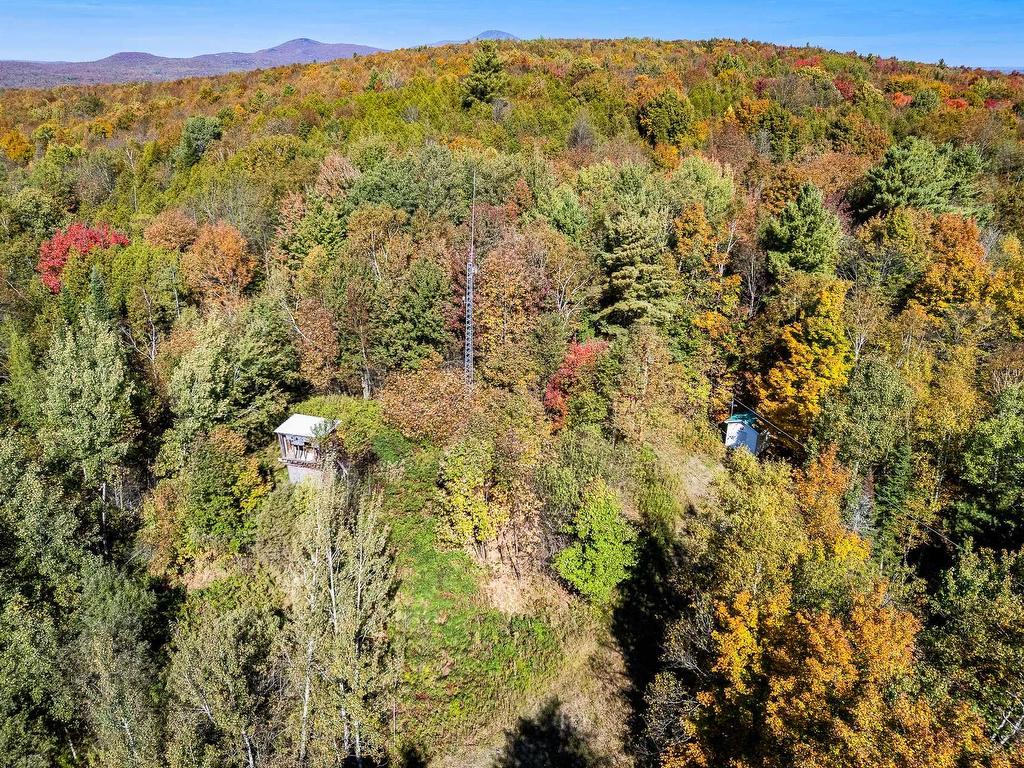 









2146


Ch. Nicholas-Austin

,
Austin,







QC
J0B1B0

