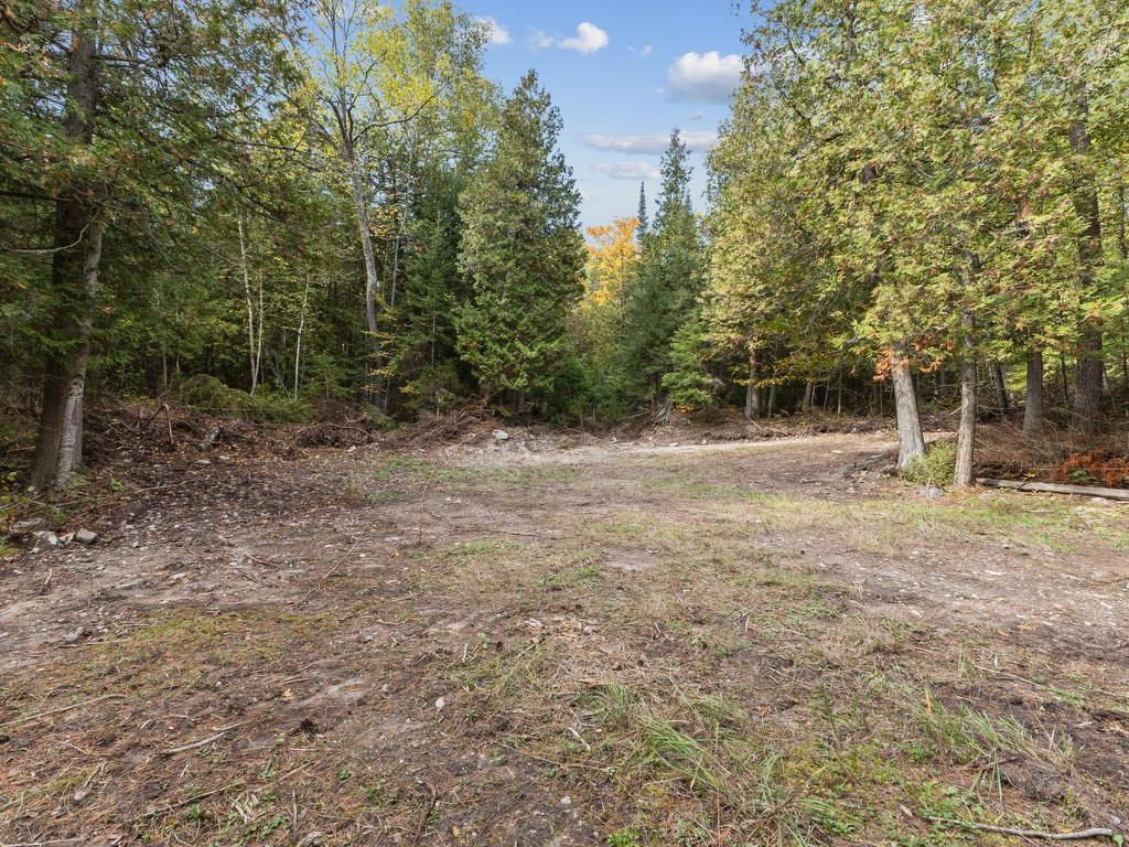









255


Ch. East-Range

,
L'Isle-aux-Allumettes,







QC
J0X1M0

