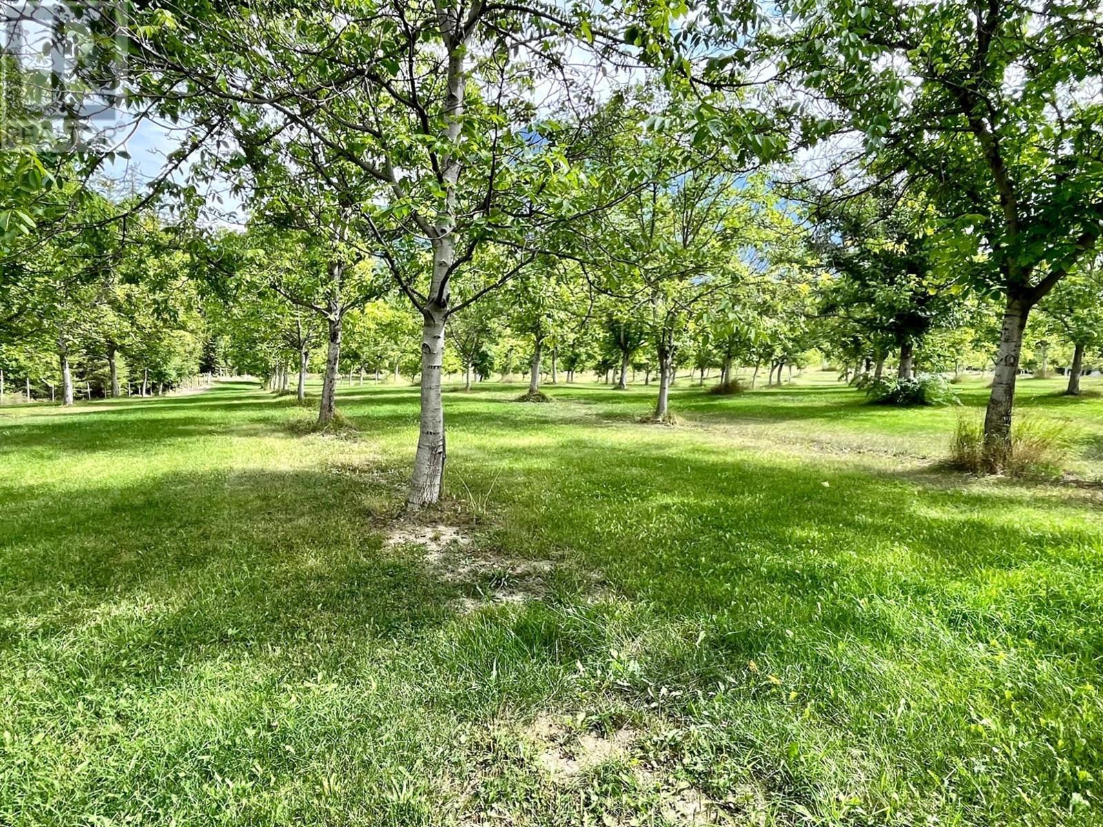












Lots 71-72 HARRISON Road

,
Arrow Park,




British Columbia
V0G1R1

