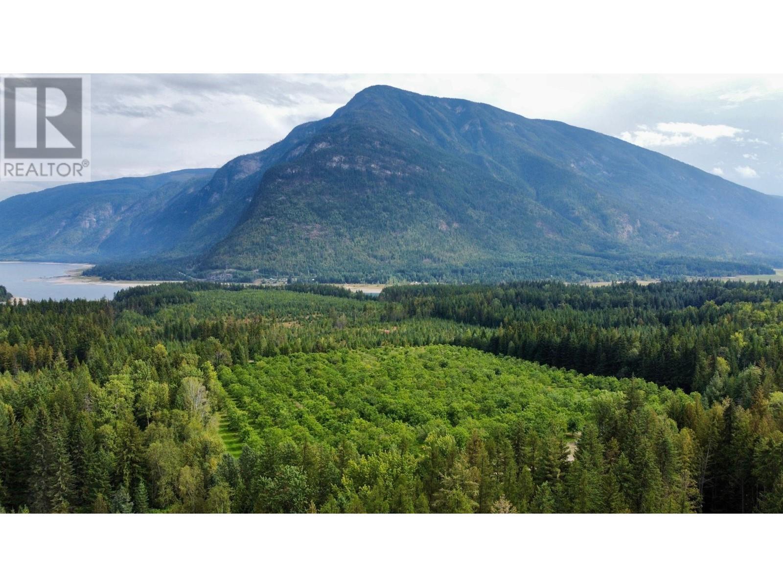 












Lots 71-72 HARRISON Road

,
Arrow Park,




British Columbia
V0G1R1

