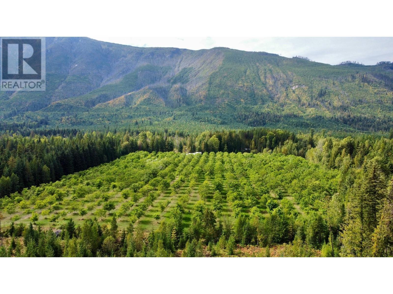 












Lots 71-72 HARRISON Road

,
Arrow Park,




British Columbia
V0G1R1

