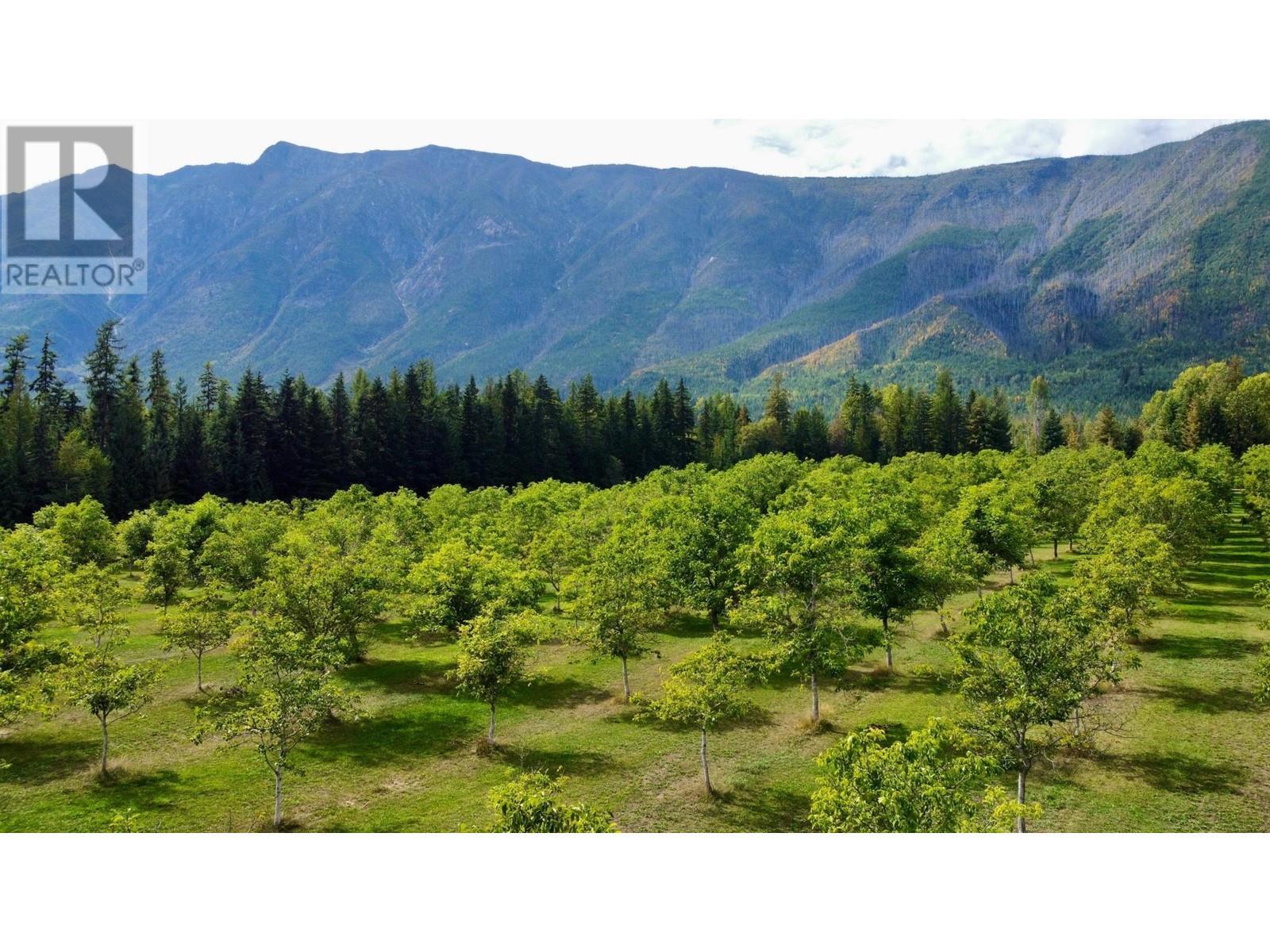












Lots 71-72 HARRISON Road

,
Arrow Park,




British Columbia
V0G1R1

