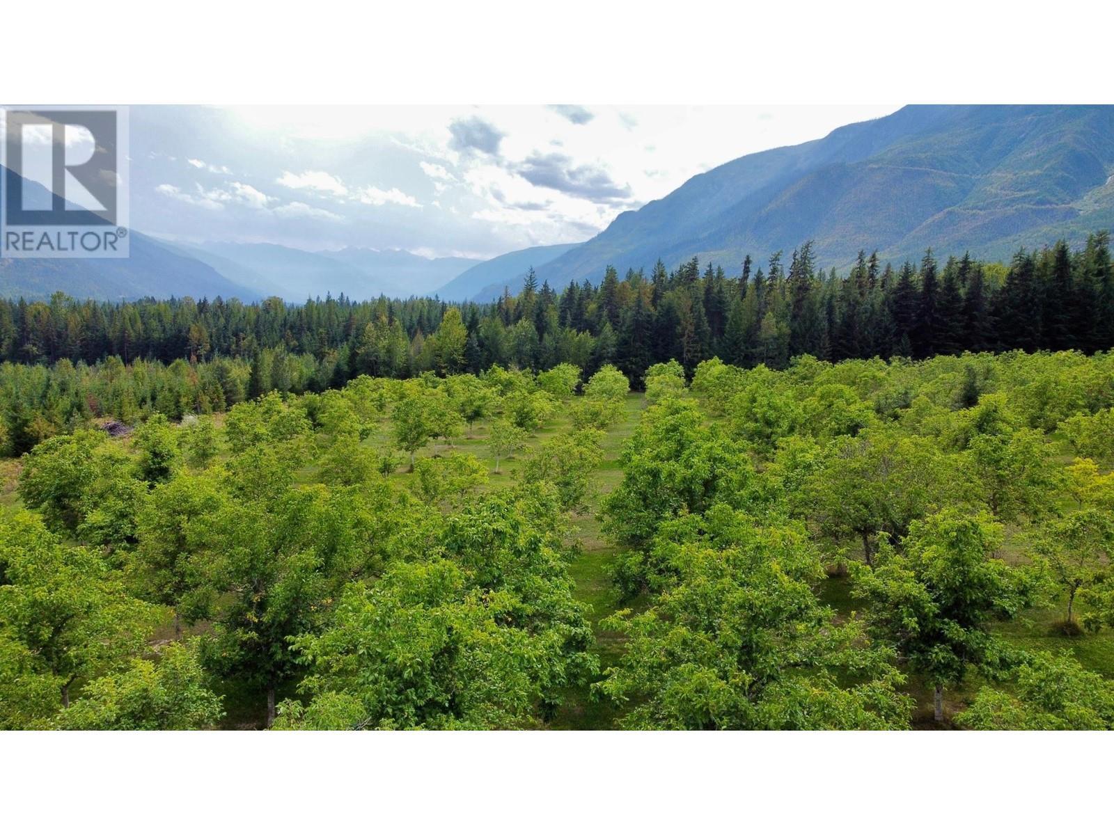 












Lots 71-72 HARRISON Road

,
Arrow Park,




British Columbia
V0G1R1

