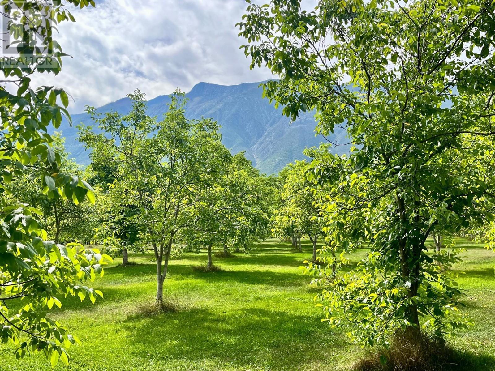 












Lots 71-72 HARRISON Road

,
Arrow Park,




British Columbia
V0G1R1

