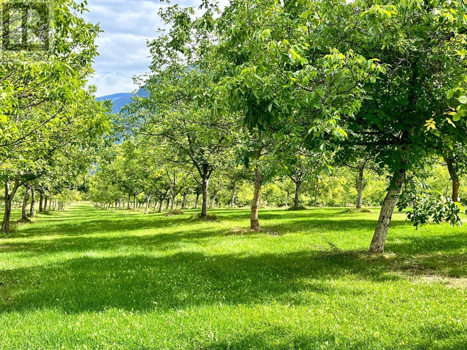 












Lots 71-72 HARRISON Road

,
Arrow Park,




British Columbia
V0G1R1

