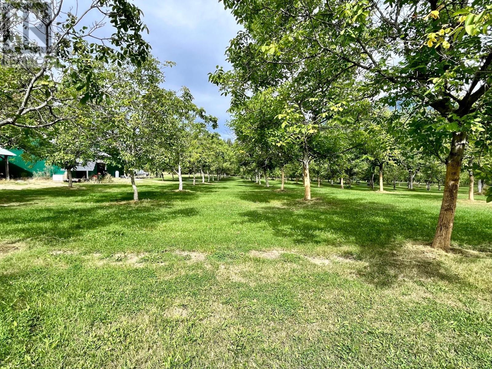 












Lots 71-72 HARRISON Road

,
Arrow Park,




British Columbia
V0G1R1

