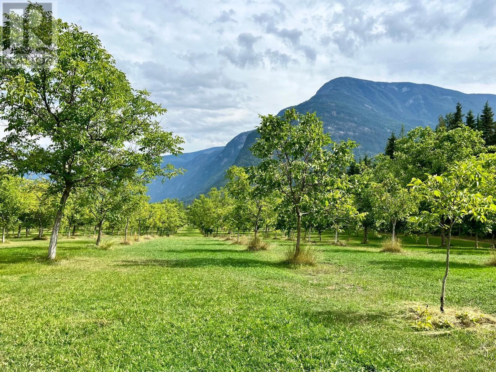 












Lots 71-72 HARRISON Road

,
Arrow Park,




British Columbia
V0G1R1

