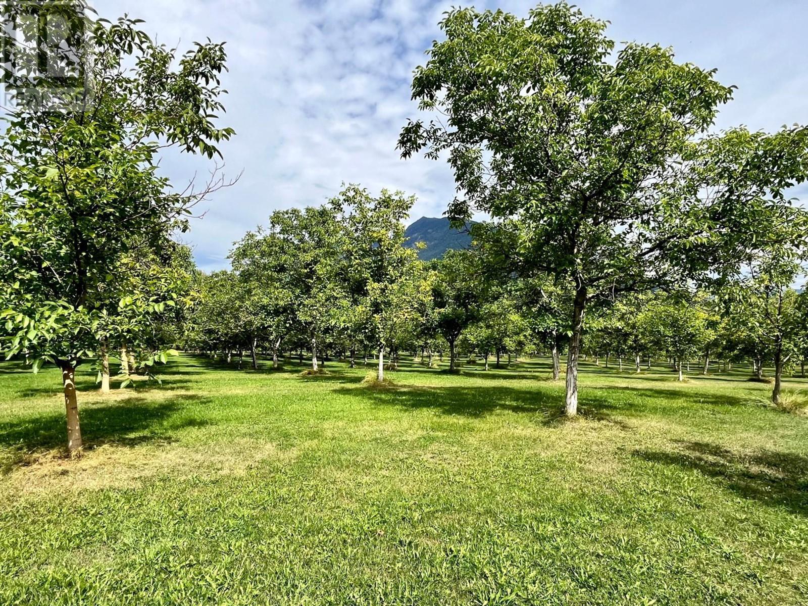 












Lots 71-72 HARRISON Road

,
Arrow Park,




British Columbia
V0G1R1

