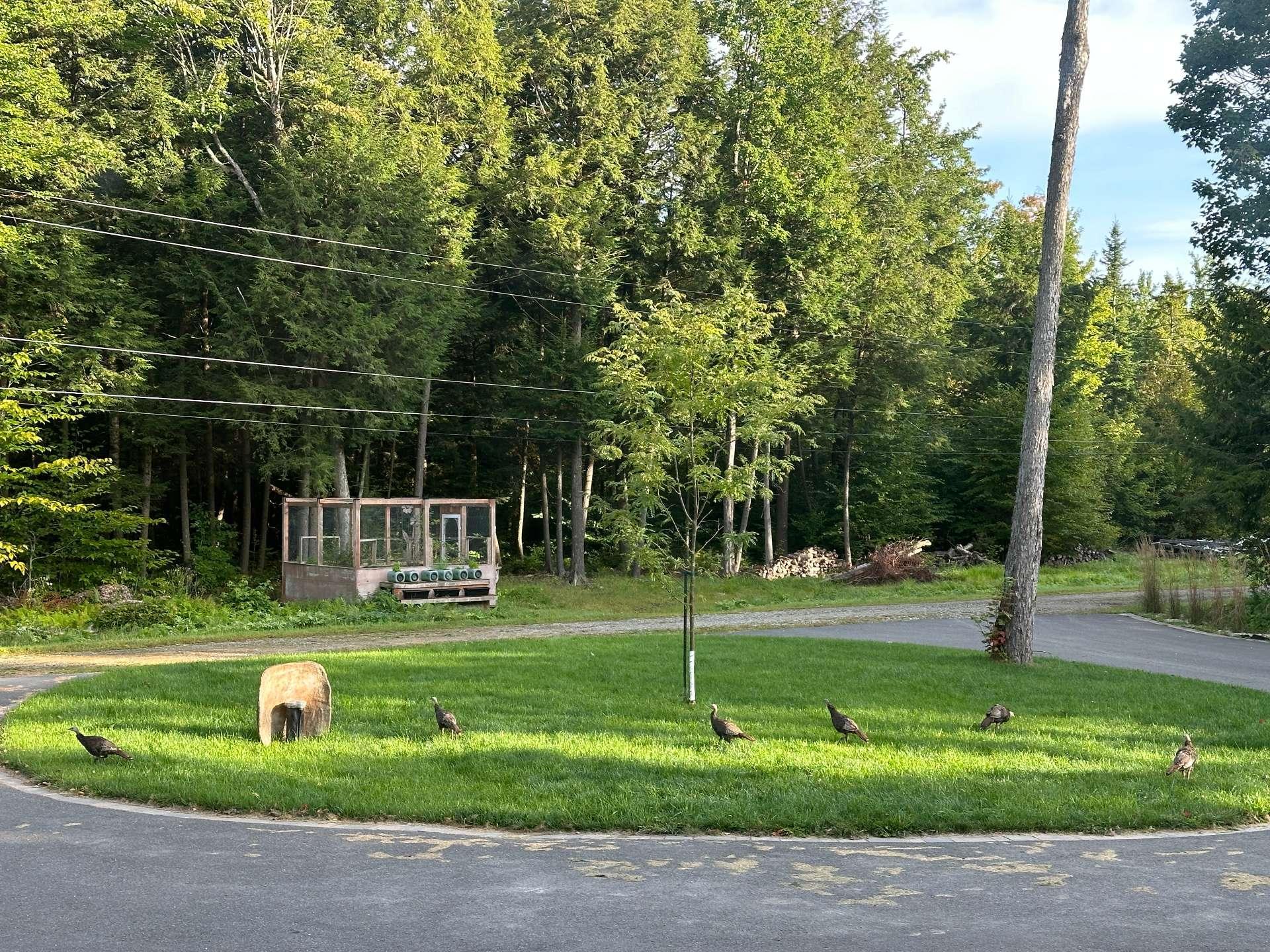 









1380


Rue de la Réserve

,
Saint-Lucien,




QC
J0C1N0

